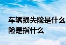 车辆损失险是什么意思怎么算 车险车辆损失险是指什么