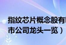 指纹芯片概念股有哪些（2022年指纹芯片上市公司龙头一览）