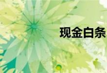 现金白条（入口 苹果）
