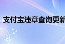 支付宝违章查询更新 支付宝违章查询在哪里