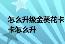 怎么升级金葵花卡 金葵花卡升级钻石金葵花卡怎么升