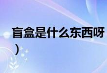 盲盒是什么东西呀（盲盒是什么东西（图文））