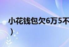 小花钱包欠6万5不还（小花钱包欠6万5不还）