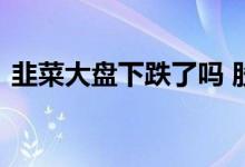 韭菜大盘下跌了吗 股票中的韭菜是什么意思