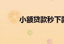 小额贷款秒下款（秒下款的小贷）
