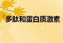 多肽和蛋白质激素（多肽和蛋白质的区别）