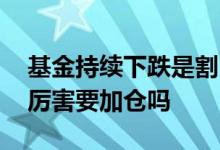 基金持续下跌是割肉还是加仓 定投基金跌的厉害要加仓吗