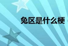 兔区是什么梗（兔区是什么意思）