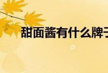 甜面酱有什么牌子（甜面酱有什么用）