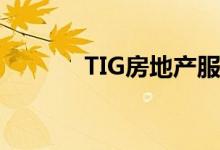 TIG房地产服务启动DFW项目 