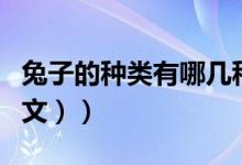 兔子的种类有哪几种（兔子的种类有哪些（图文））