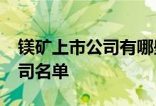 镁矿上市公司有哪些2021年镁矿龙头上市公司名单