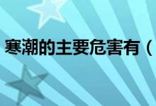 寒潮的主要危害有（寒潮的主要危害有哪些）