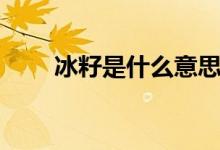 冰籽是什么意思（冰籽是什么植物）