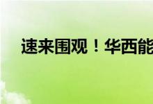 速来围观！华西能源股票表现怎么样（）