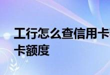 工行怎么查信用卡额度 工行网银怎么查信用卡额度