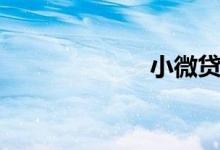 小微贷（小微贷）