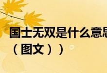 国士无双是什么意思呀（国士无双是什么意思（图文））