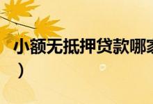 小额无抵押贷款哪家银行好（小额无抵押贷款）
