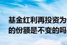 基金红利再投资为什么份额不变 基金买进去的份额是不变的吗