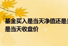 基金买入是当天净值还是当时净值 基金以买入时刻的净值还是当天收盘价