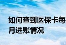 如何查到医保卡每月进账单 怎样查医保卡每月进账情况