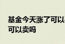 基金今天涨了可以买入吗 基金买入当天大涨可以卖吗