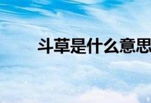 斗草是什么意思（斗草是什么意思）