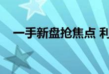  一手新盘抢焦点 利嘉阁十大屋苑周末录12宗 