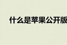 什么是苹果公开版（什么是苹果型身材）