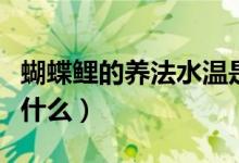 蝴蝶鲤的养法水温是多少好（蝴蝶鲤的养法是什么）