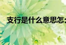 支行是什么意思怎么填写 支行是什么意思