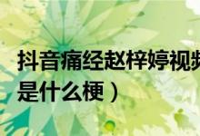 抖音痛经赵梓婷视频（抖音赵梓婷评论痛经又是什么梗）