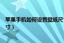苹果手机如何设置壁纸尺寸（苹果手机壁纸怎么设置合适尺寸）