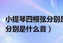 小提琴四根弦分别是什么字母（小提琴四根弦分别是什么音）