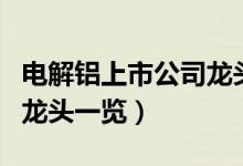 电解铝上市公司龙头有哪些（电解铝上市公司龙头一览）