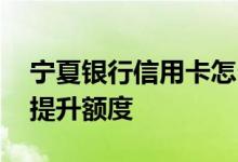 宁夏银行信用卡怎么提额 宁夏银行信用如何提升额度