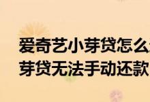 爱奇艺小芽贷怎么还款老还不进去 爱奇艺小芽贷无法手动还款
