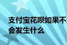 支付宝花呗如果不还会怎么样 如果不还花呗会发生什么