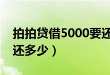 拍拍贷借5000要还7千多（拍拍贷借5000要还多少）