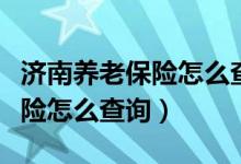 济南养老保险怎么查询个人账户（济南养老保险怎么查询）
