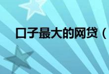 口子最大的网贷（大额网贷好过的口子）