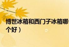 博世冰箱和西门子冰箱哪个更好（博世冰箱和西门子冰箱哪个好）