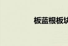 板蓝根板块概念股票一览