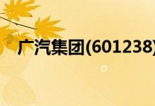 广汽集团(601238)股票目标价23.8（元）