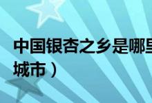 中国银杏之乡是哪里啊（中国银杏之乡是哪个城市）