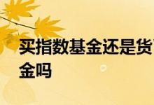 买指数基金还是货币基金 指数基金算货币基金吗