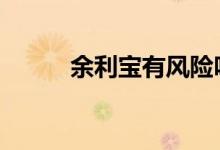 余利宝有风险吗 余利宝有风险吗