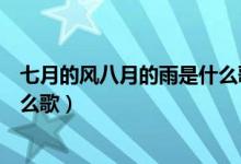 七月的风八月的雨是什么歌啊（七月的风八月的雨指的是什么歌）
