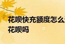 花呗快充额度怎么还款 花呗快充额度可以还花呗吗